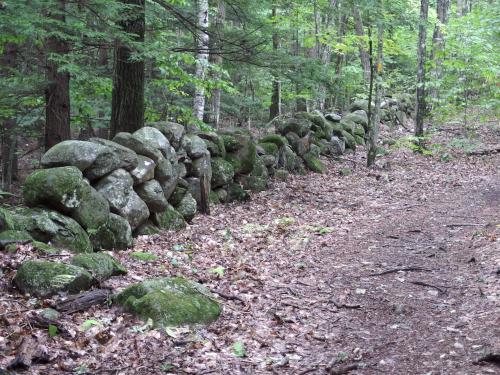trail and stone wall at Hawthorne Town Forest near Hopkinton in southern New Hampshire