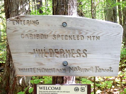 wilderness sign on the trail to Haystack Mountain in Evans Notch, Maine