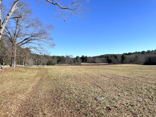 field in December at Hazel Brook in eastern MA