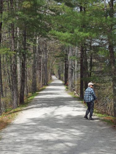 trail in May at Heads Pond near Hooksett in southern New Hampshire