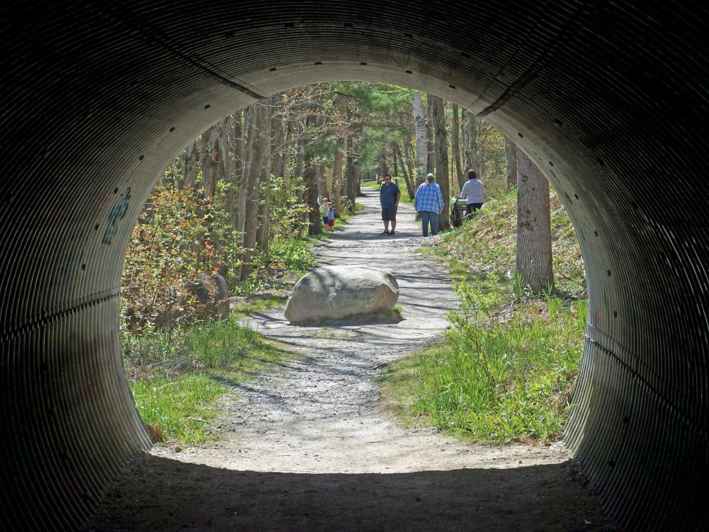 trail tunnel in May at Heads Pond near Hooksett in southern New Hampshire