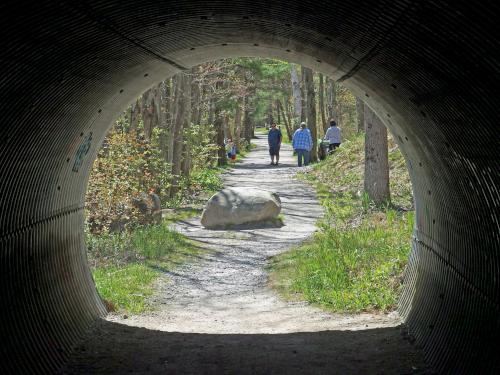 trail tunnel in May at Heads Pond near Hooksett in southern New Hampshire