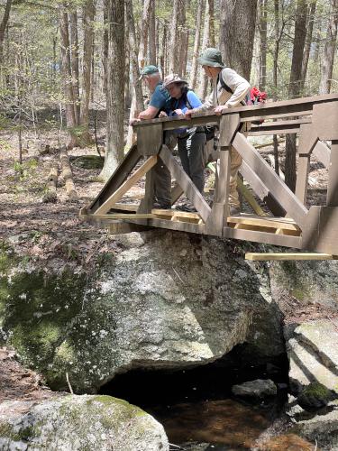 footbridge in May at Heald Tract in New Hampshire