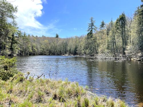 Camp Pond in May at Heald Tract in New Hampshire