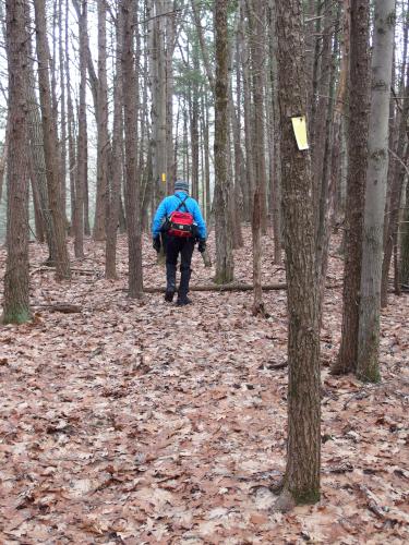 Dick on the trail in January at Heald Tract in New Hampshire