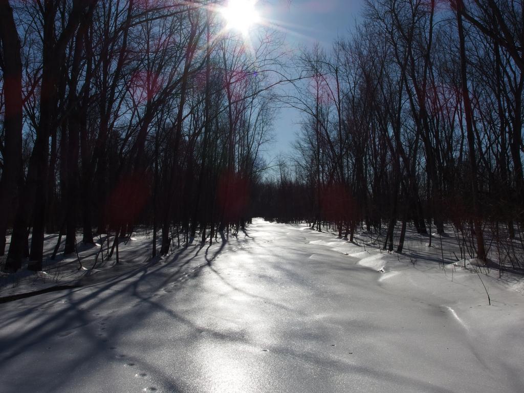 trail in January at Healy Park near Concord in southern New Hampshire