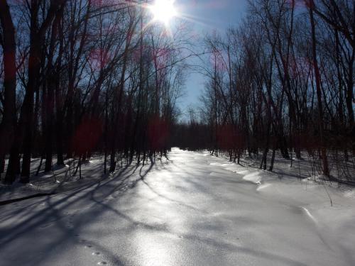 trail in January at Healy Park near Concord in southern New Hampshire