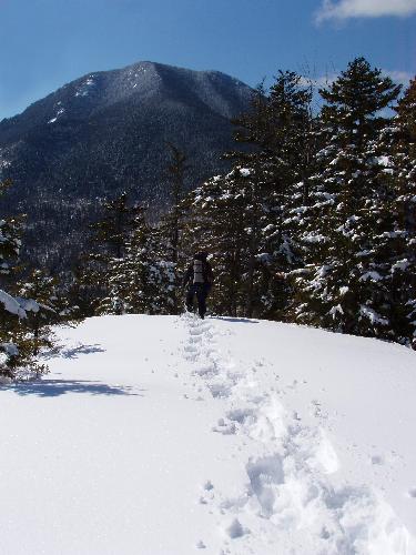 snowshoe tracks on the trail to Hedgehog Mountain in New Hampshire