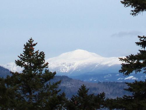view of Mount Washington from Hedgehog Mountain in New Hampshire