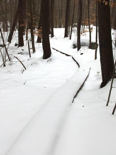 loop-trail boardwalk in Henderson-Swasey Town Forest near Exeter in southern New Hampshire