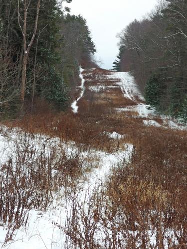 Gas Pipeline Trail in Henderson-Swasey Town Forest near Exeter in southern New Hampshire