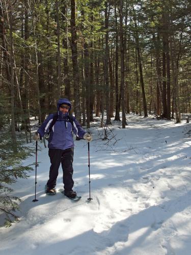 Andee on the Hiroshi Loop Trail near Peterborough in southwestern New Hampshire