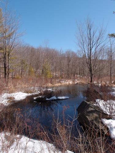 a view of Wildcat Hollow at Andorra Forest in southern New Hampshire