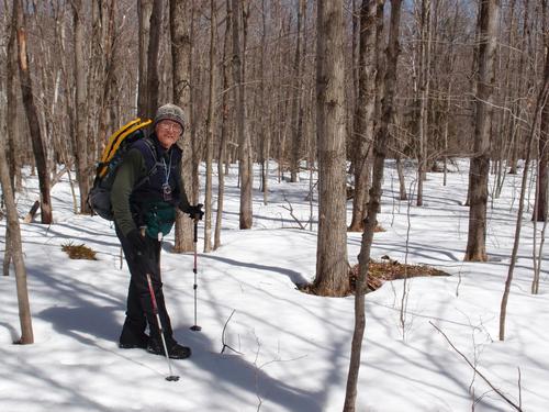 an early-spring hiker in the open woods of Andorra Forest in southern New Hampshire