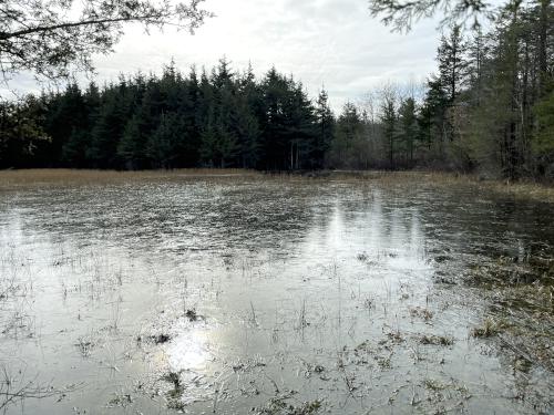 pond 2 in December at Holbrook Town Forest near Holbrook in eastern Massachusetts