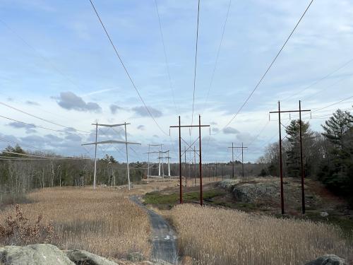 powerline swath in December at Holbrook Town Forest near Holbrook in eastern Massachusetts