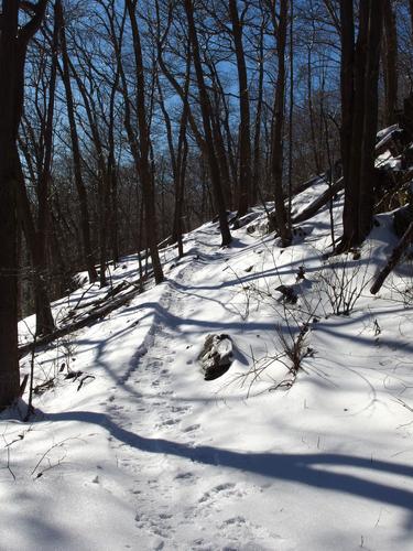 Metacomet-Monadnock Trail toward Mount Holyoke in Massachusetts