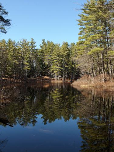Stark Pond in April at Hopkinton-Everett Trails near Dunbarton in southern New Hampshire