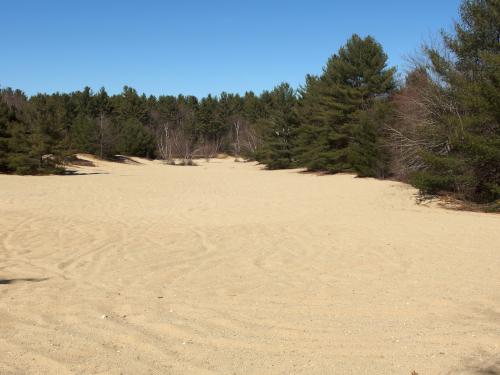 open sandy area that looks like a desert at Hopkinton-Everett Trails in New Hampshire