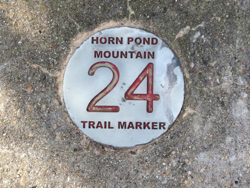 trail marker at Horn Pond Mountain in eastern Massachusetts