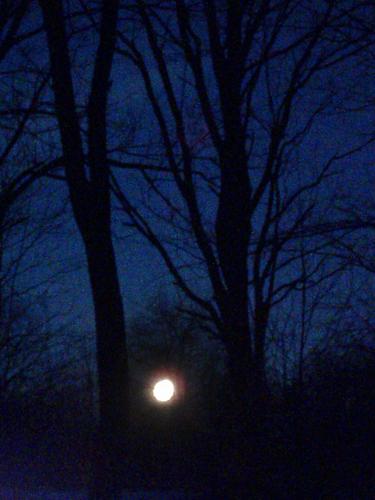 moonset in Horse Hill Nature Preserve in New Hampshire