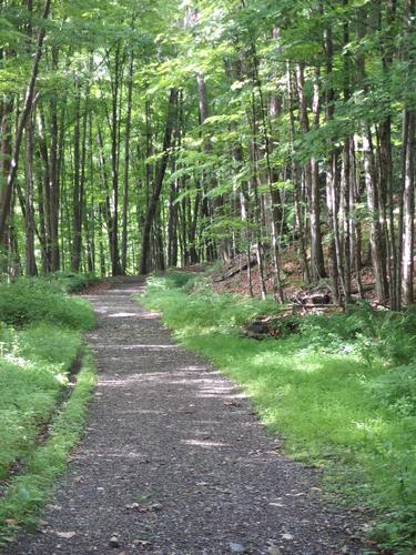 trail start to Hubbard Hill in southwestern New Hampshire