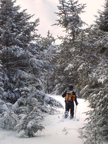 winter hiker in the woods bushwhacking from Mount Huntington in New Hampshire