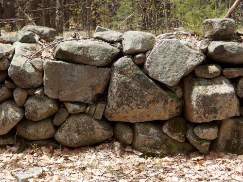 cellar foundation on Hussey Mountain in New Hampshire