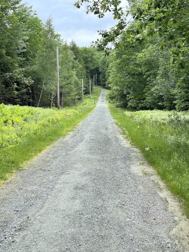 roadwalk in June at Indian Ridge in New Hampshire