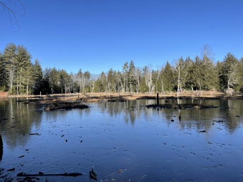 beaver pond in December at Isinglass River Conservation Reserve in southern New Hampshire