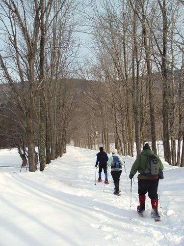 winter hikers on the trail to Mount Israel in New Hampshire