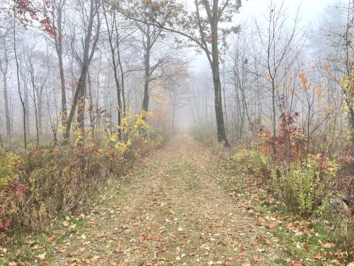Willard Trail in October at Jewell Hill in northeast Massachusetts