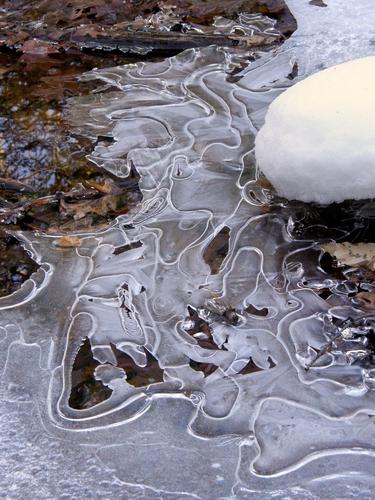 layers of curves in stream ice in Joe English Reservation in New Hampshire