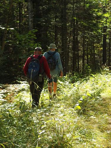 Lance and Chuck hike into sunshine on Mad Road Trail at Pillsbury State Park in New Hampshire