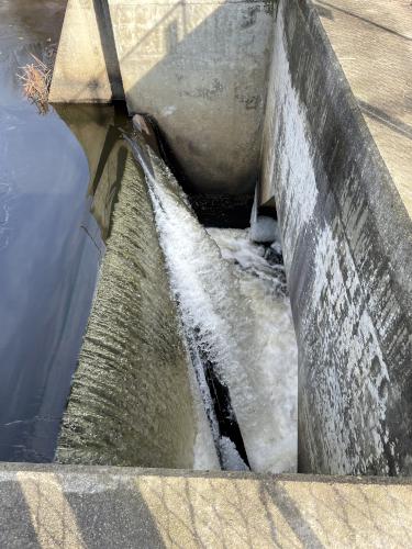 dam in January at Joyce Park in Nashua NH