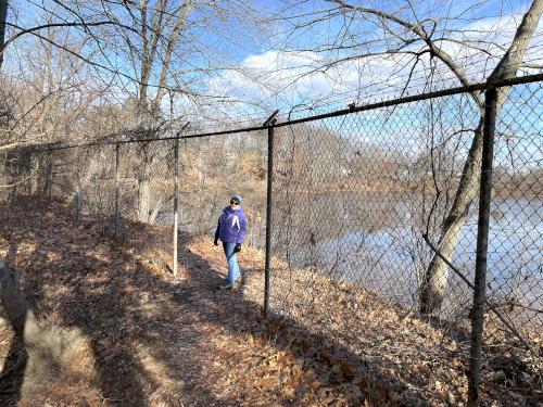 Andee walks the trail in January through an obsolete fence at Joyce Park in Nashua NH