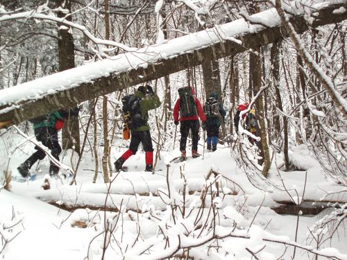 winter bushwhacking to Mount Kelsey in New Hampshire