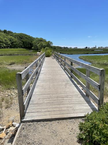 bridge in June at Kennebunk Bridle Path in southern Maine