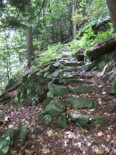 Ledge Trail in Lyme Town Forest on the way to Kenyon Hill in western New Hampshire