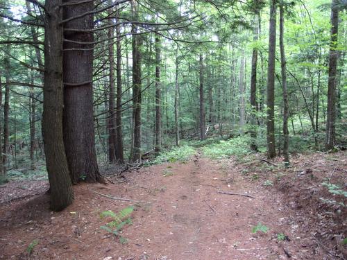 Beaver Pond Trail in Lyme Town Forest on the way to Kenyon Hill in western New Hampshire