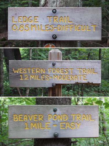 trail signs in Lyme Town Forest on the way to Kenyon Hill in western New Hampshire