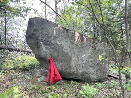 summit rock in June at Kettle Pond and Spice Mountain in northern VT