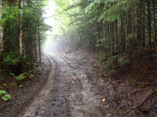 road walk to Kibby Mountain in Maine