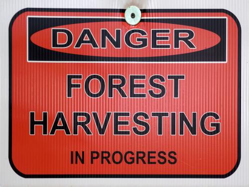 forest harvesting sign at Kilburn Crags in northern New Hampshire