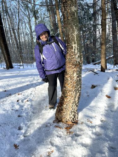 Andee and a over-mushroomed tree in December at Kingman Farm near Durham in southeast New Hampshire