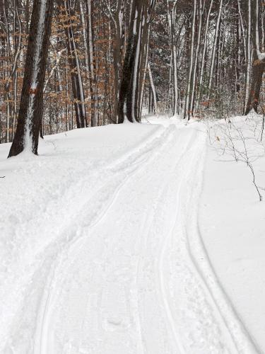 road in February at Kingston State Park in southeast New Hampshire