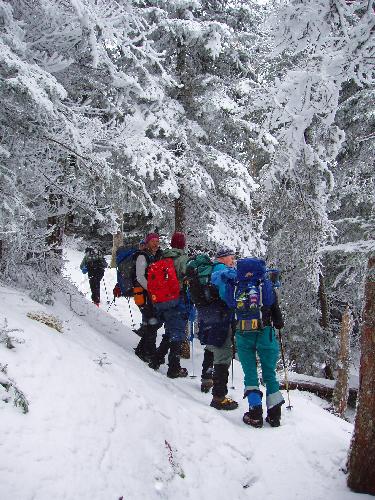 winter trail to Kinsman Mountain in New Hampshire