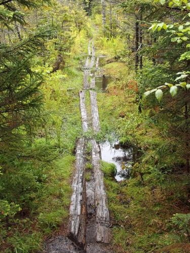 wet trail section on Kinsman Notch North Mountain in New Hampshire
