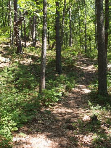 trail at Kirby-Ivers Town Forest in Pelham, New Hampshire