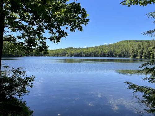 pond view in June at Knights Pond Conservation Area near Wolfeboro in New Hampshire